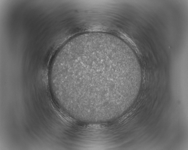 X0000067870298200605041814