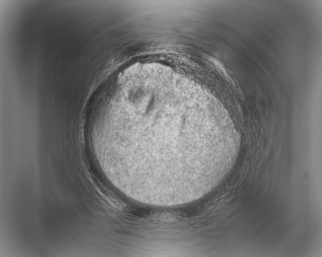 X0000067870299200605041814