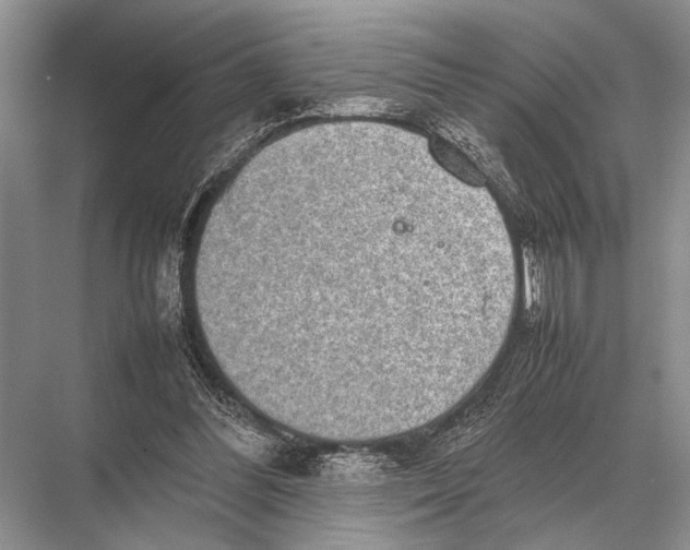 X0000067870300200605041814