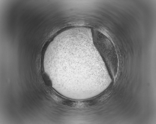 X0000067870301200605041814