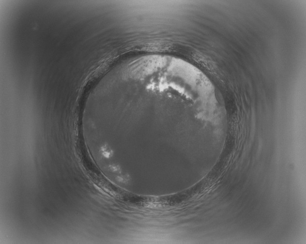 X0000067870303200605041814