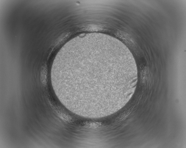 X0000067870304200605041814