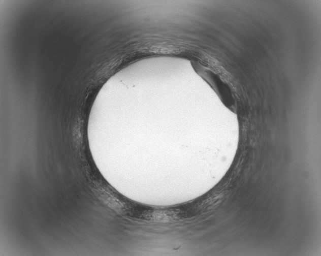 X0000067870305200605041814