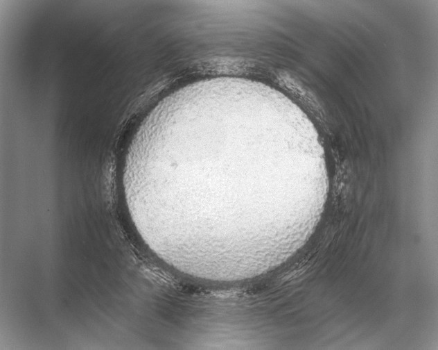 X0000067870306200605041814