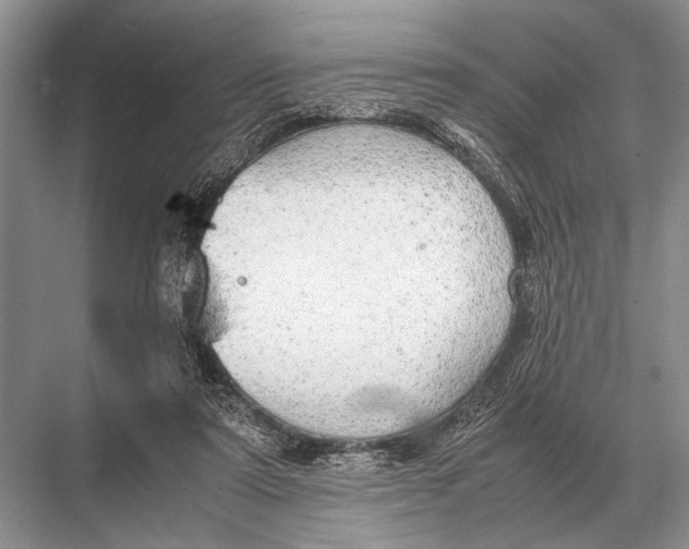 X0000067870307200605041814