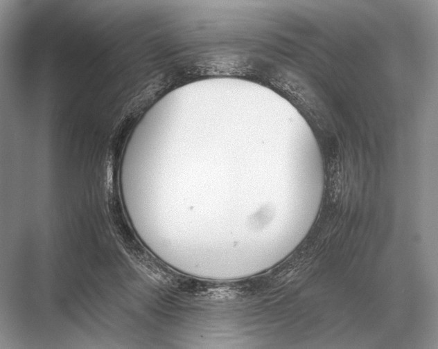 X0000067870310200605041814