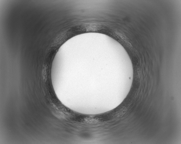 X0000067870311200605041814