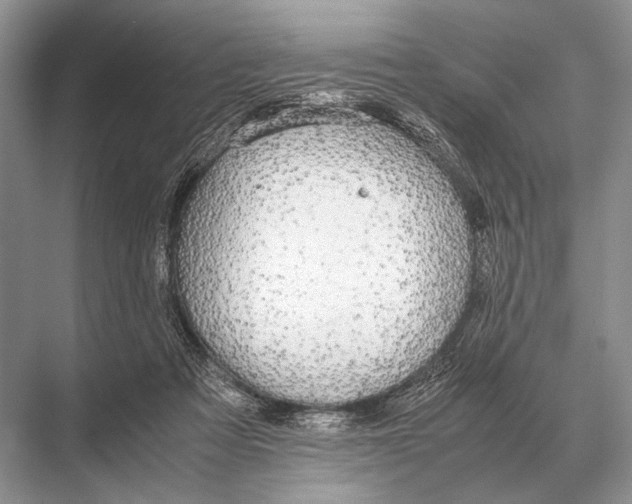 X0000067870313200605041814