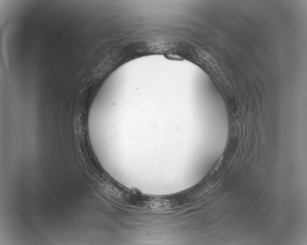 X0000067870317200605041814