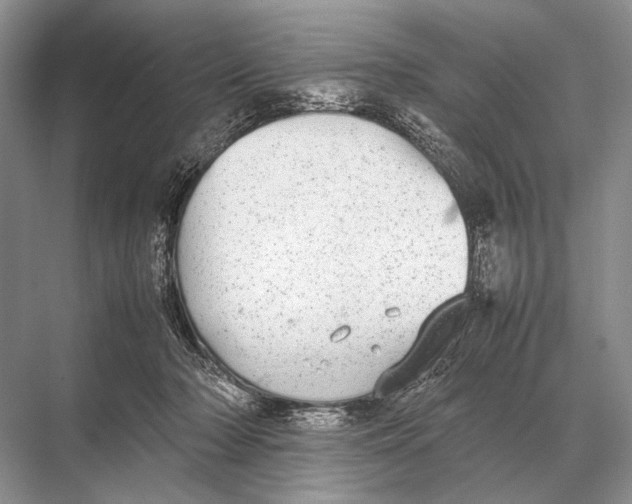 X0000067870318200605041814