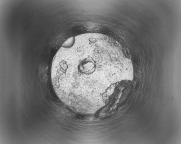 X0000067870319200605041814