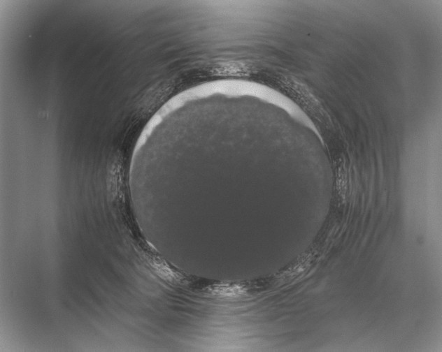 X0000067870322200605041814