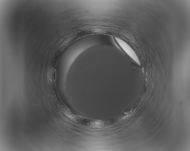 X0000067870325200605041814