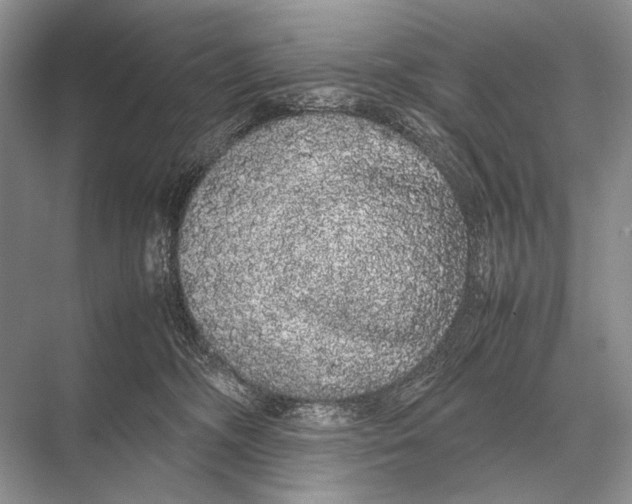 X0000067870326200605041814