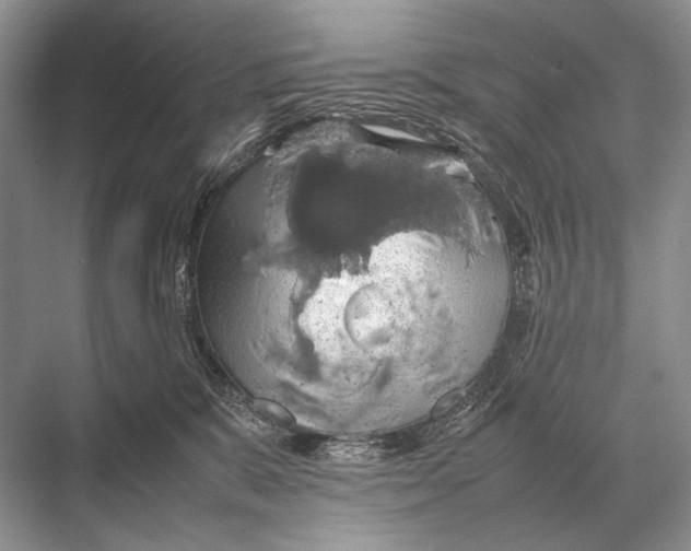 X0000067870327200605041814