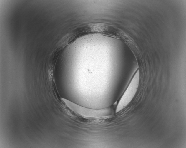 X0000067870329200605041814