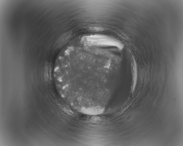 X0000067870330200605041814