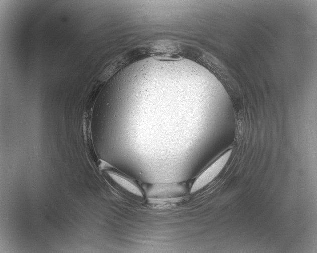 X0000067870333200605041814