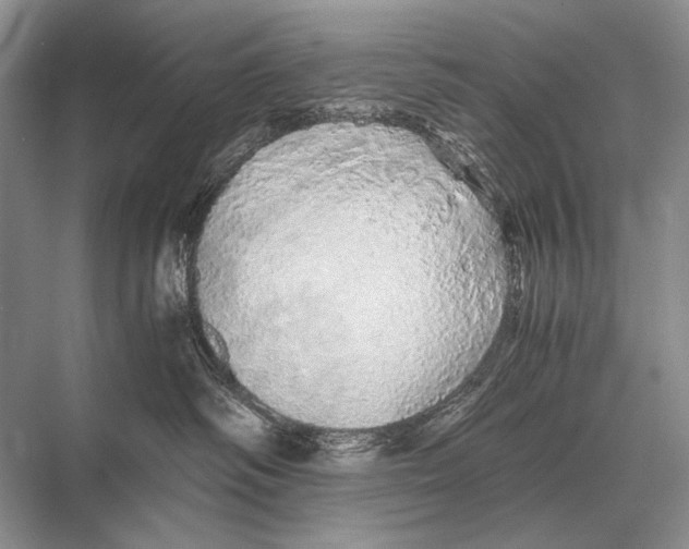 X0000067870334200605041814