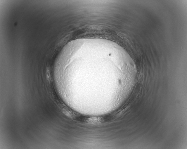 X0000067870335200605041813