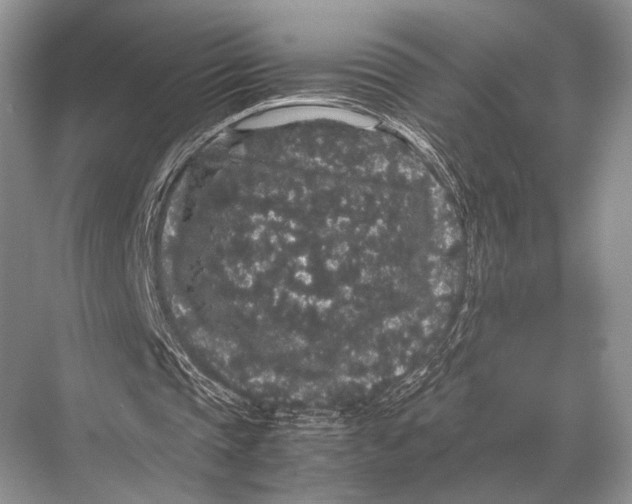 X0000067870337200605041813