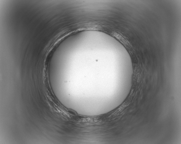 X0000067870338200605041813