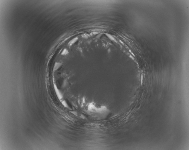 X0000067870339200605041813