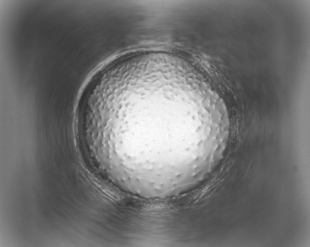 X0000067870342200605041813