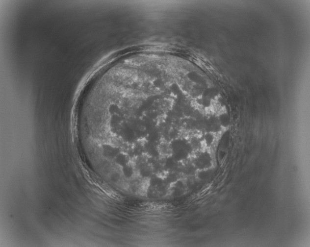 X0000067870343200605041813