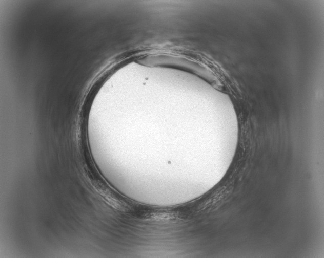 X0000067870344200605041813