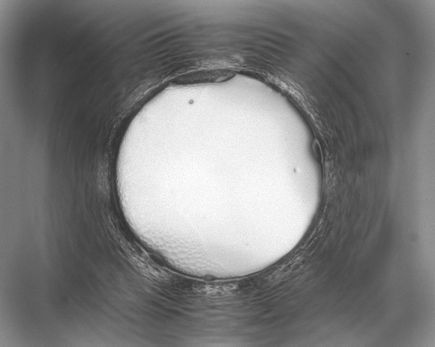 X0000067870345200605041813