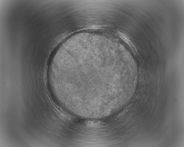 X0000067870346200605041813