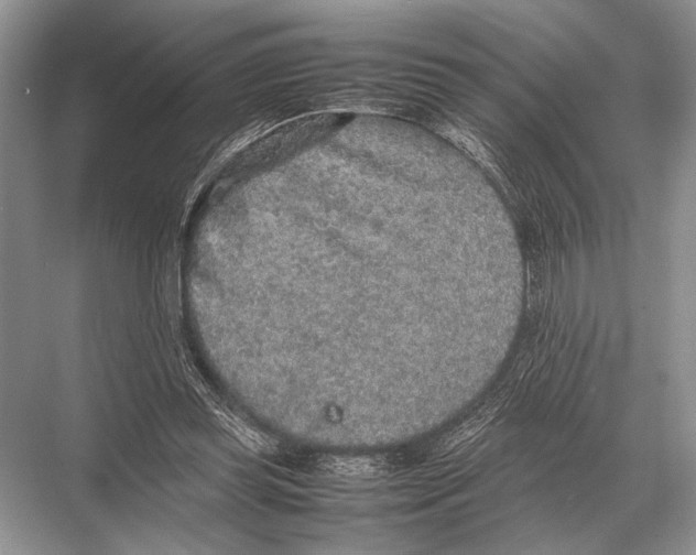 X0000067870349200605041813