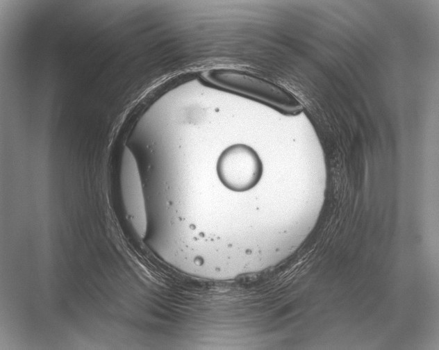 X0000067870350200605041813