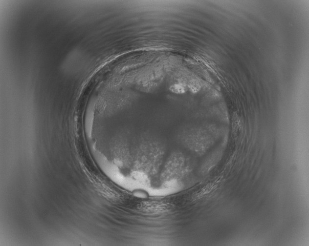 X0000067870351200605041813