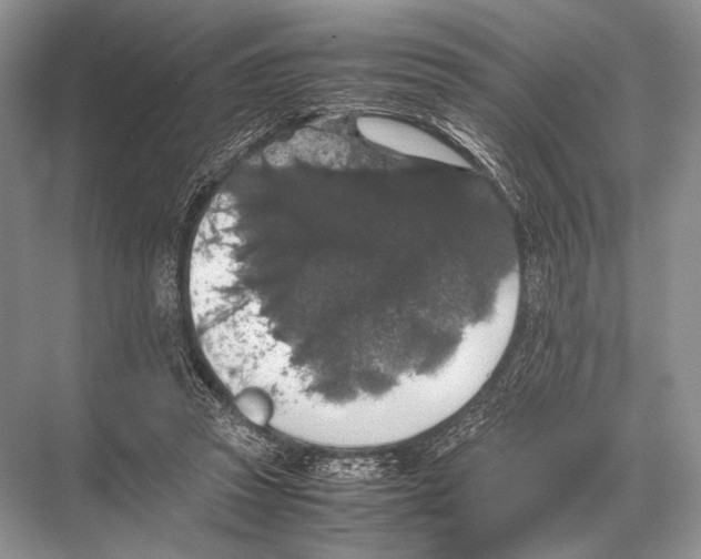 X0000067870353200605041813