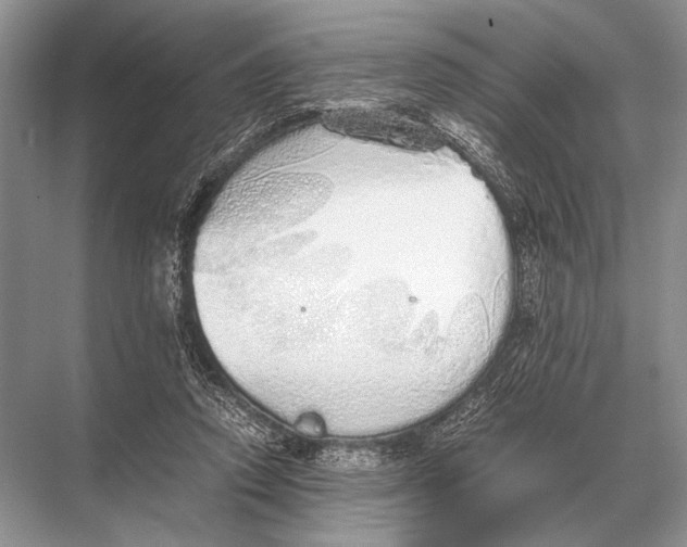 X0000067870354200605041813