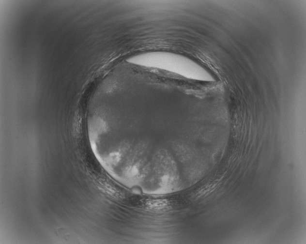 X0000067870355200605041813