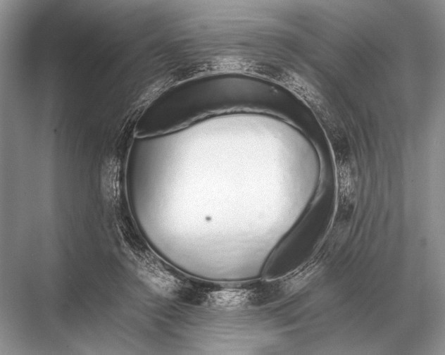 X0000067870356200605041813