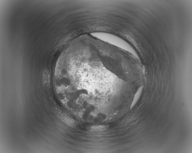 X0000067870357200605041813