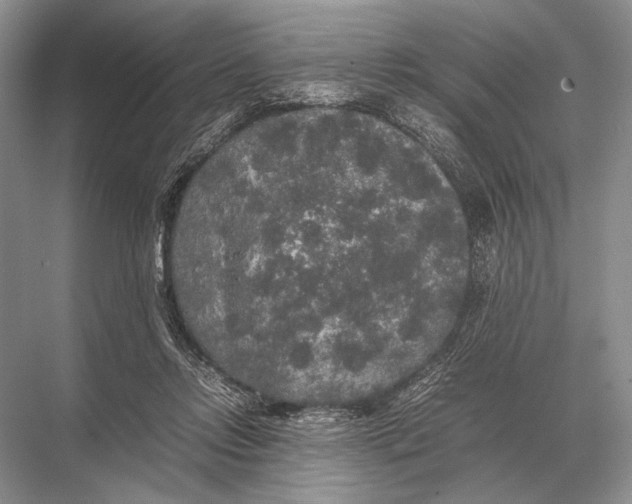 X0000067870358200605041813