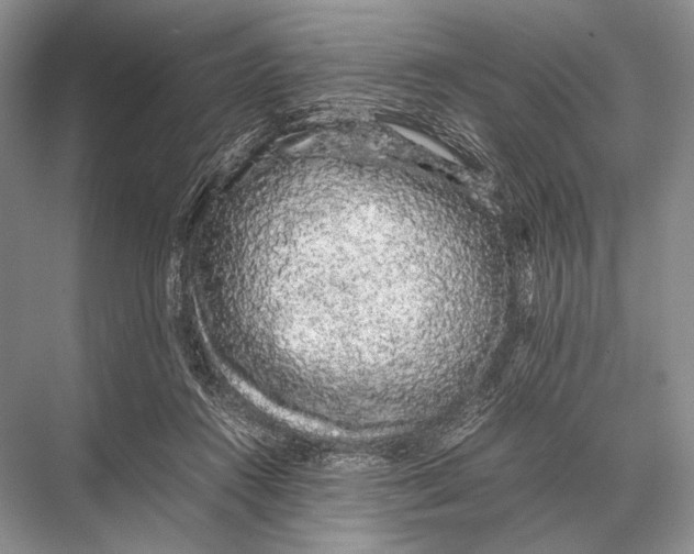 X0000067870360200605041813