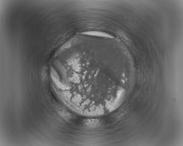 X0000067870361200605041813