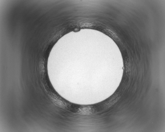 X0000067870362200605041813