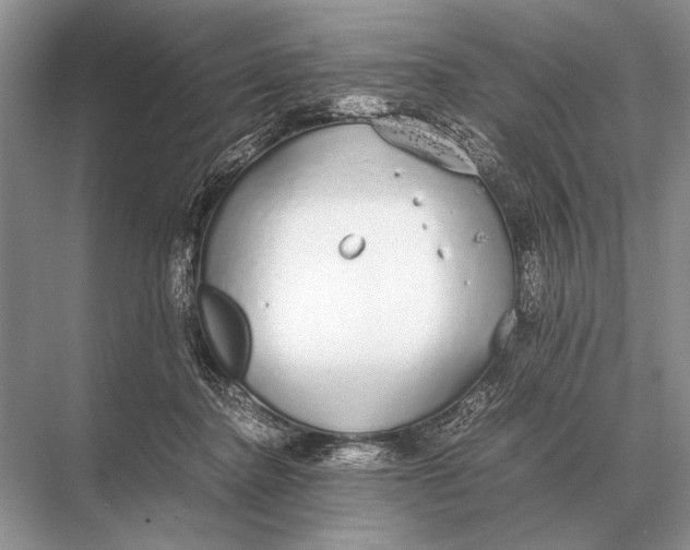 X0000067870364200605041813