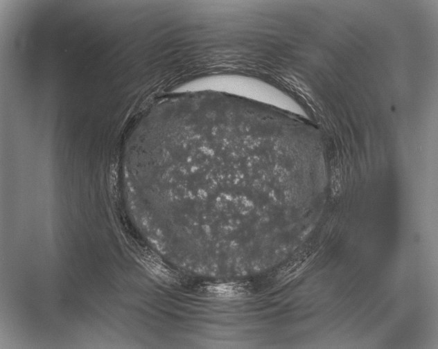 X0000067870365200605041813