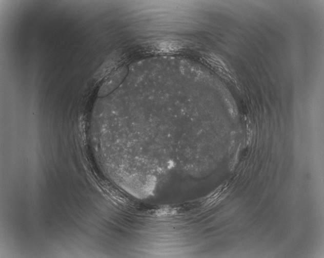 X0000067870366200605041813