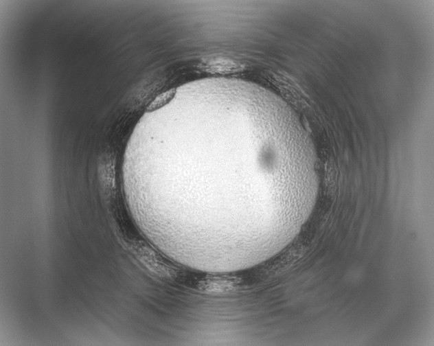 X0000067870368200605041813