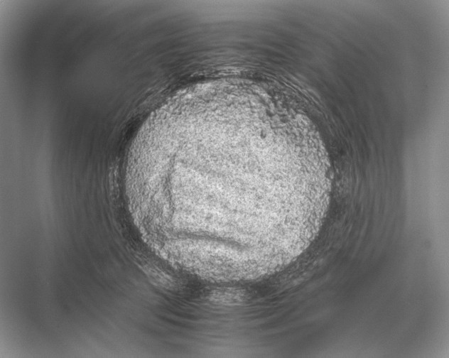 X0000067870369200605041813