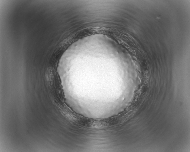 X0000067870372200605041813